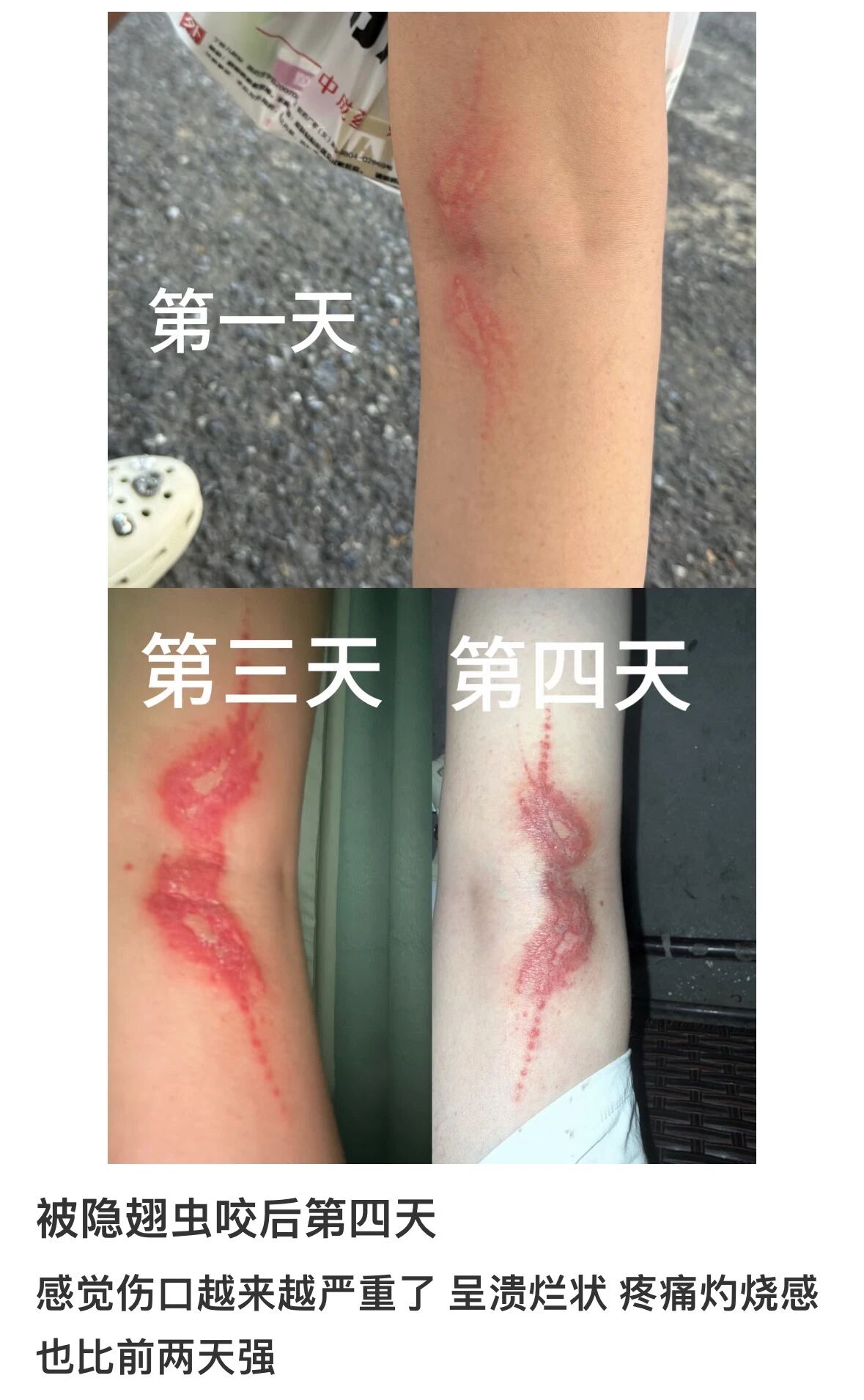 1790220280447144.jpg 微信图片_2026-09-24_112233_115.jpg